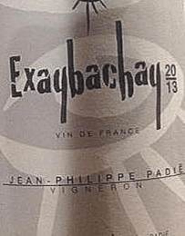 Exaybachay - Domaine Jean-Philippe Padié - jean-philippe-padie 