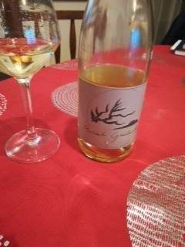Muscat Sec - Domaine Giudicelli - muriel-giudicelli 