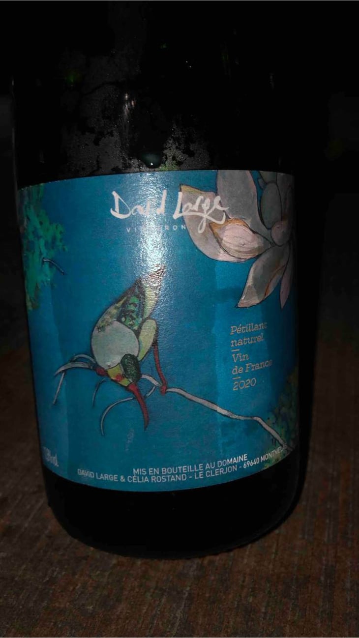 Pet Nat - David Large - celia-rostand-et-david-large 