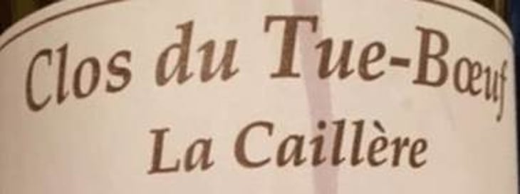 La Caillère - Clos du Tue-Bœuf - zoe-louise-thierry-puzelat 