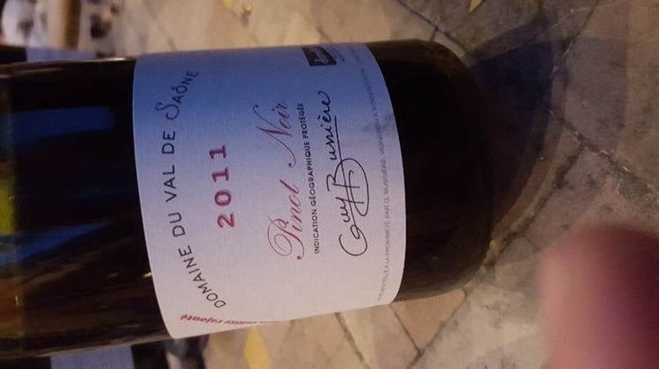 Pinot Noir - Domaine du Val de Saône - guy-bussiere-retired 