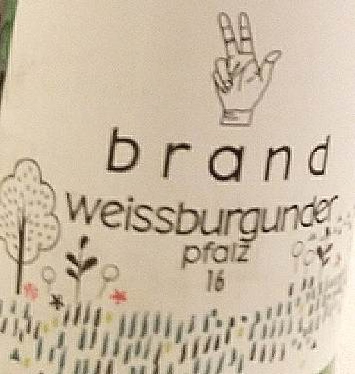 Weissburgunder Pfalz - Brand Bros - Weingut Brand - daniel-jonas-brand 