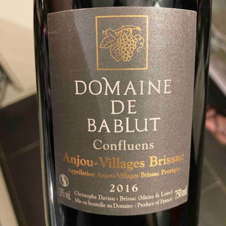 Confluens - Domaine de Bablut - christophe-antoine-daviau -2016