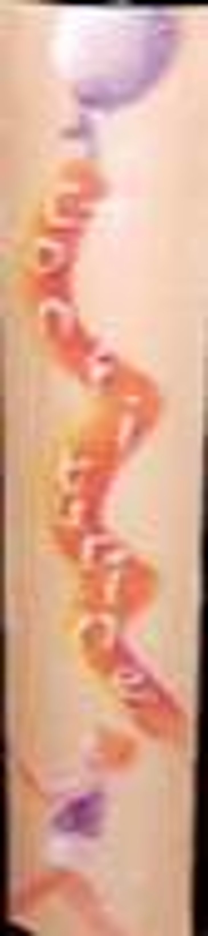 Confiturine - Didier Chaffardon - didier-chaffardon 