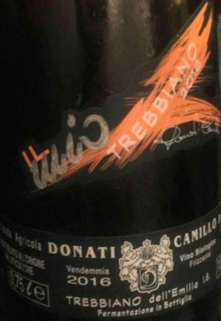 Il Mio Trebbiano - Camillo Donati - camillo-donati 