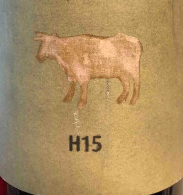 H15 Harslevelu - Meinklang - Weingut Michlits - angela-werner-michlits 