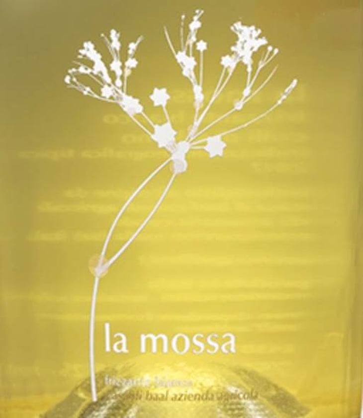 La mossa - Casa di Baal - famiglia-salerno 