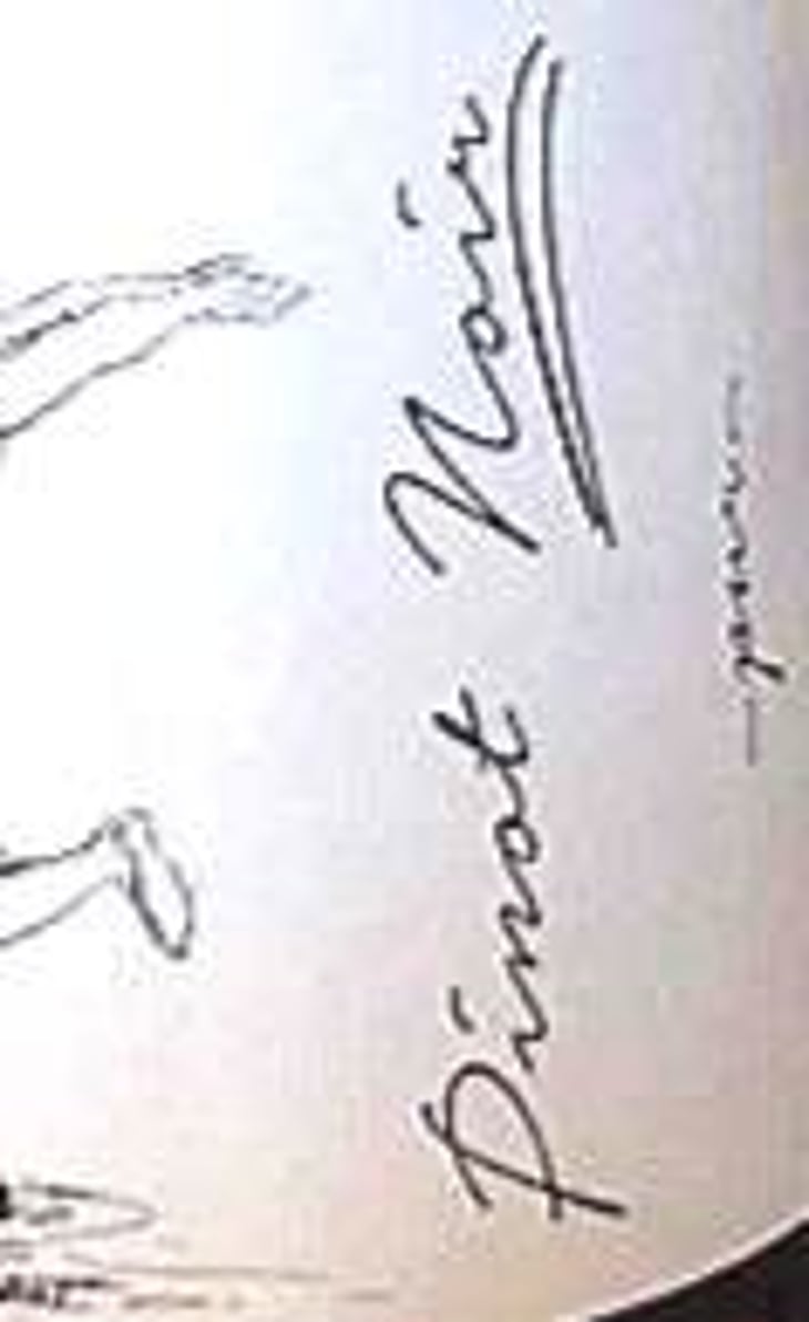 Pinot Noir Pur - Brand Bros - Weingut Brand - daniel-jonas-brand 