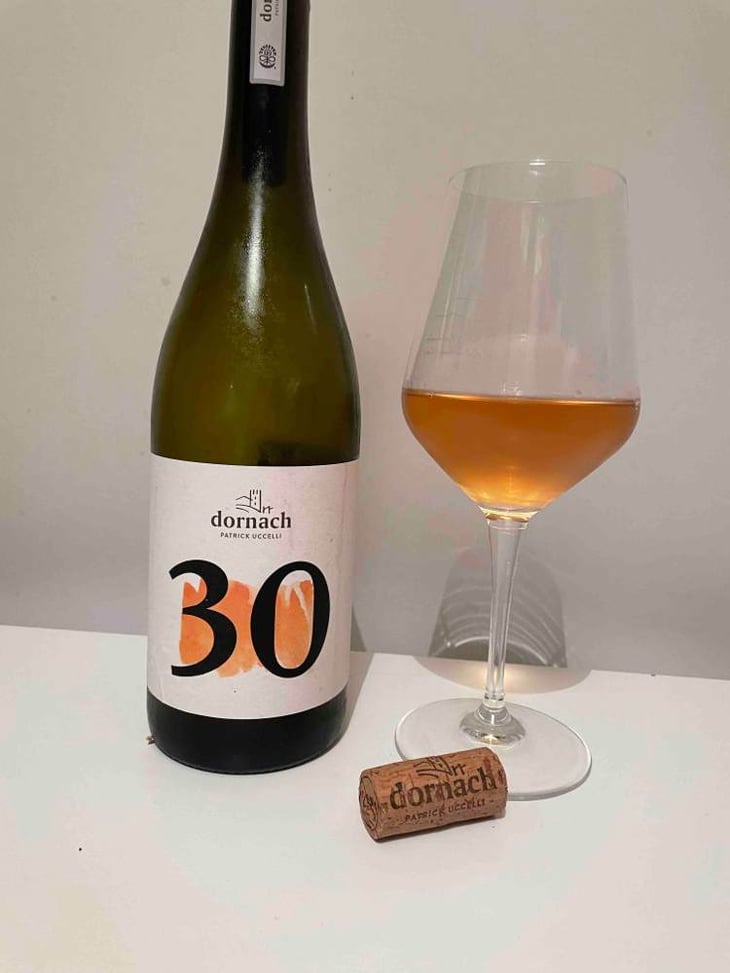 30 - Ansitz Dornach - patrick-karoline-uccelli -2021