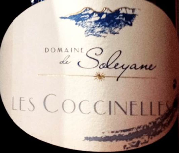 Coccinelle - Domaine de Soleyane - marie-eliane-olivier-lelievre 