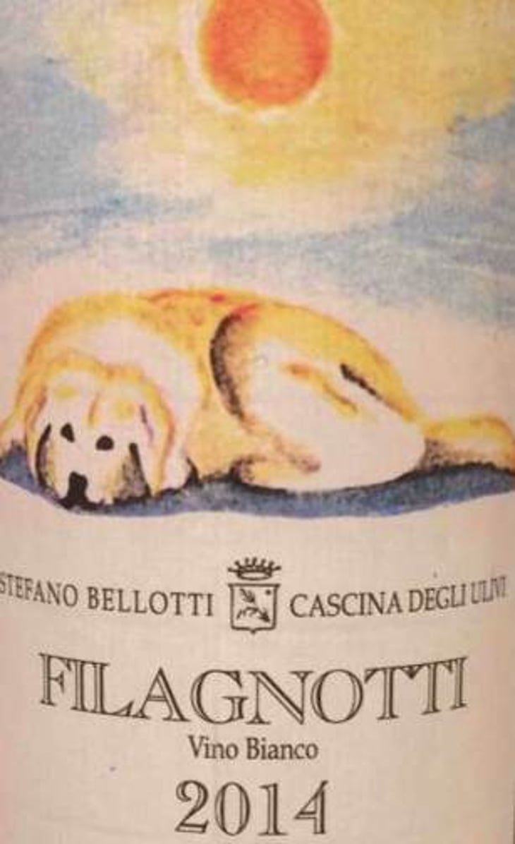 Filagnotti - Cascina degli Ulivi - ilaria-bellotti 