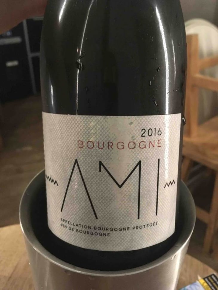 Bourgogne Rouge - Domaine Ami - paul-marchand-perarnau-willy-roulendes 