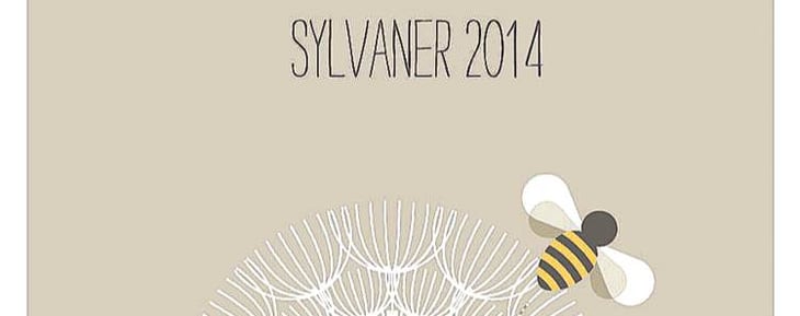 Sylvaner - Vincent Fleith - brigitte-et-vincent-fleith 