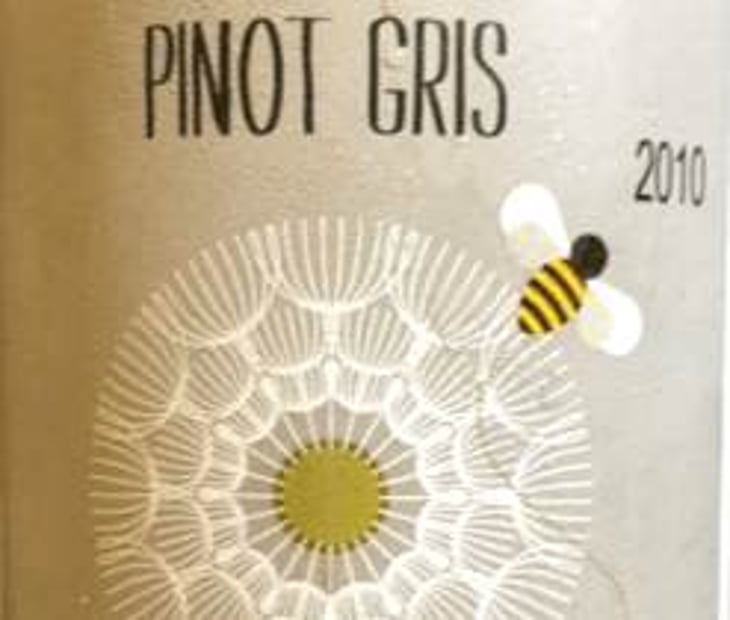 Pinot Gris - Vincent Fleith - brigitte-et-vincent-fleith 