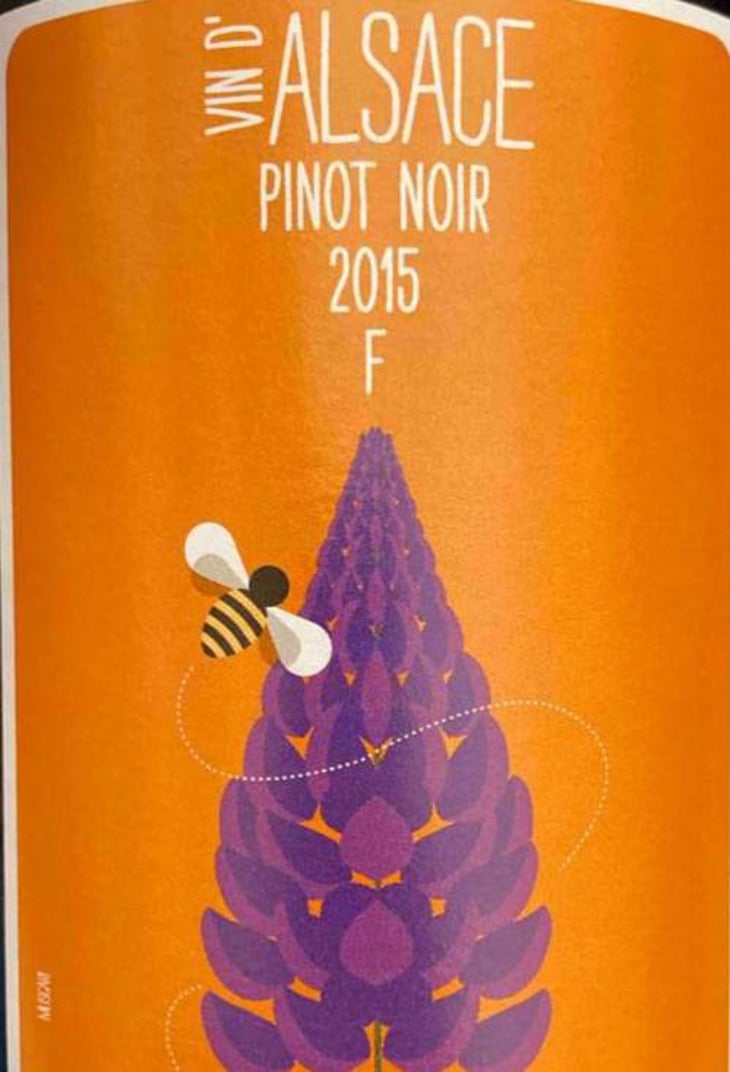 Pinot Noir "F" - Vincent Fleith - brigitte-et-vincent-fleith 