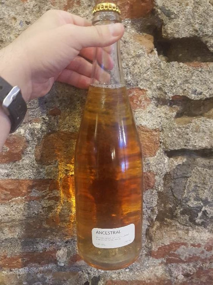 Las Niñas - Fernando Angulo - fernando-angulo-za -2017