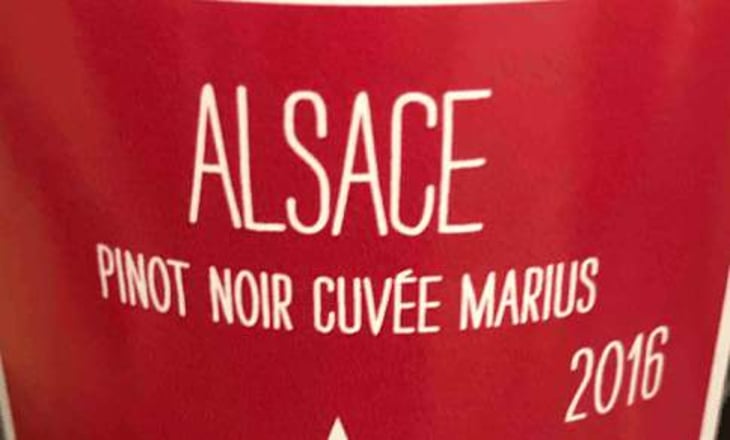 Pinot Noir MARIUS - Vincent Fleith - brigitte-et-vincent-fleith 