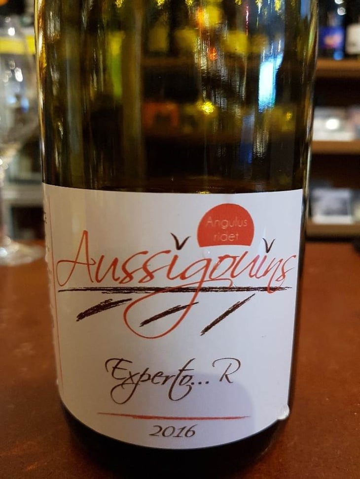 Expecto..R - Dominique Dufour - dominique-dufour 