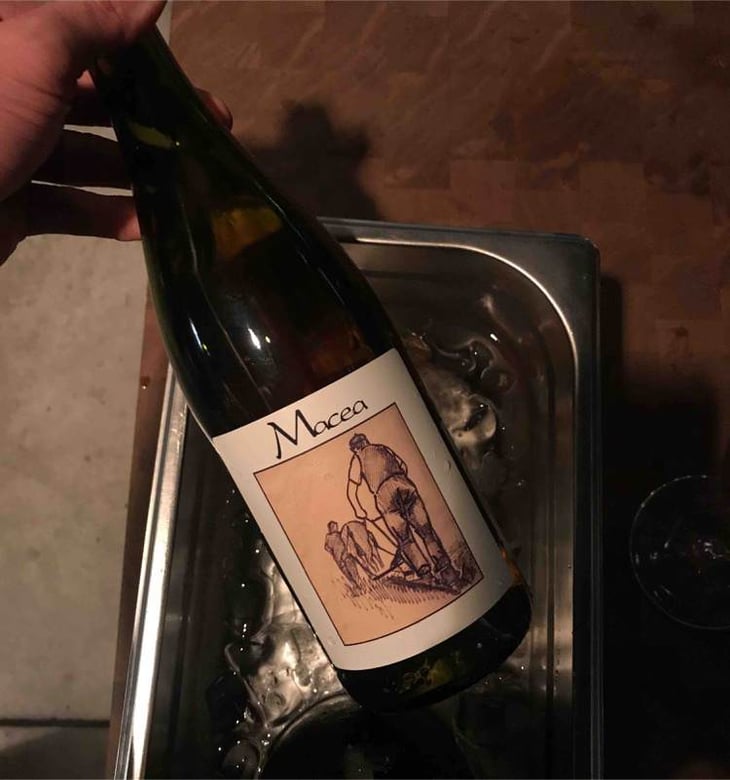 Pinot Grigio - Azienda Agricola Macea - cipriano-antonio-barsanti 