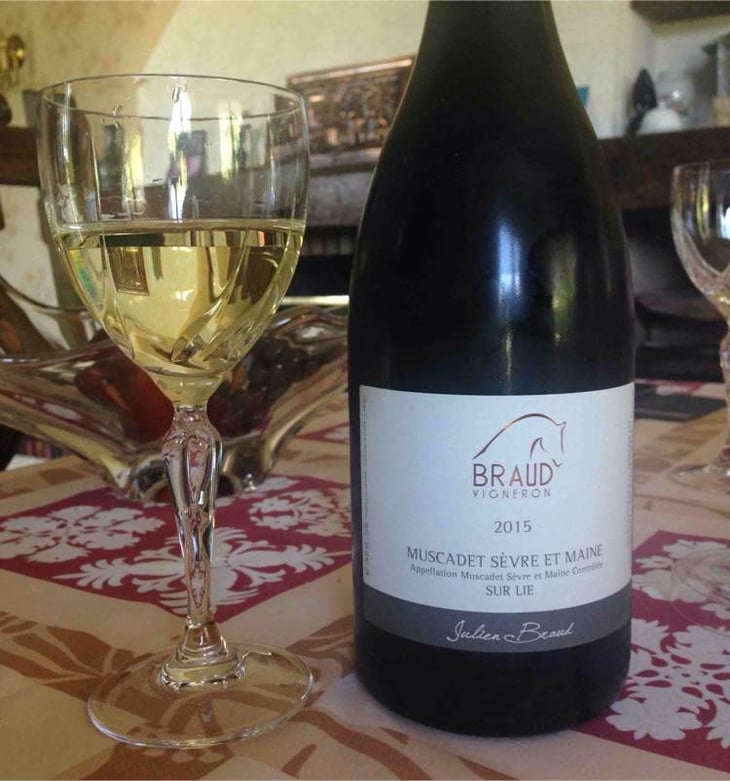 Muscadet Sèvre Et Maine Sur Lie - Domaine de Bellevue - jerome-bretaudeau 