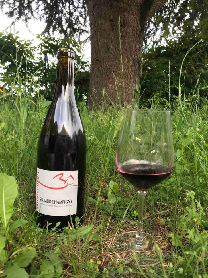 Saumur Champigny - Bruno Dubois - bruno-dubois 