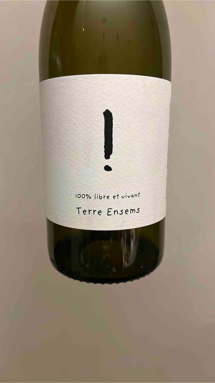 ! - Terre Ensems - krystel-costes-michel-bouisseren 