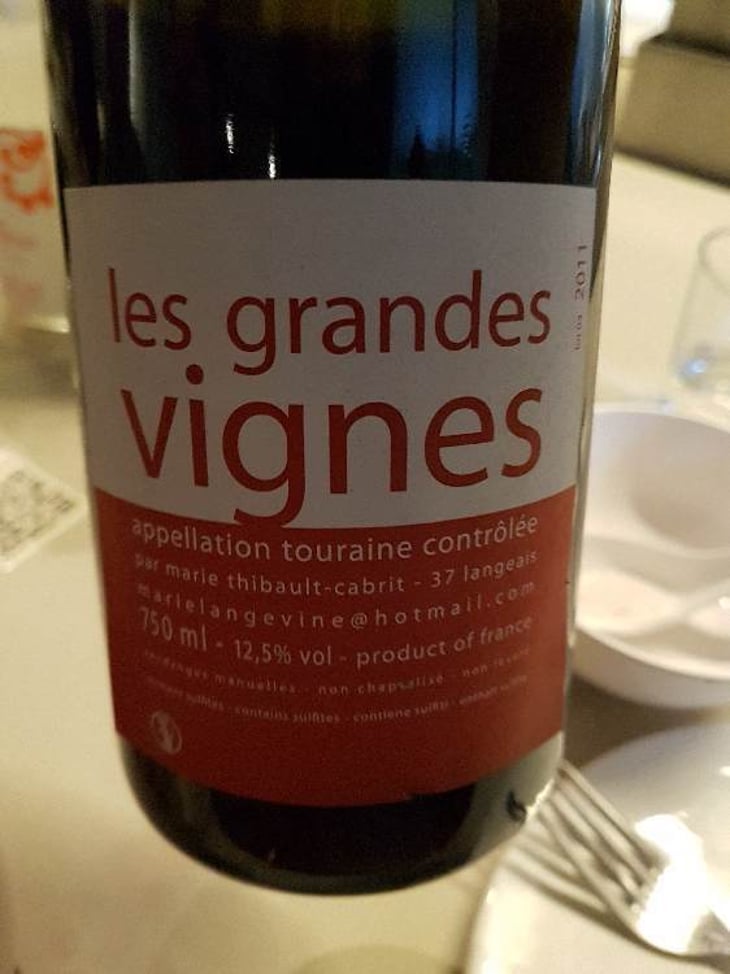 Les Grandes Vignes - Marie Thibault-Cabrit - marie-thibault-cabrit -2011