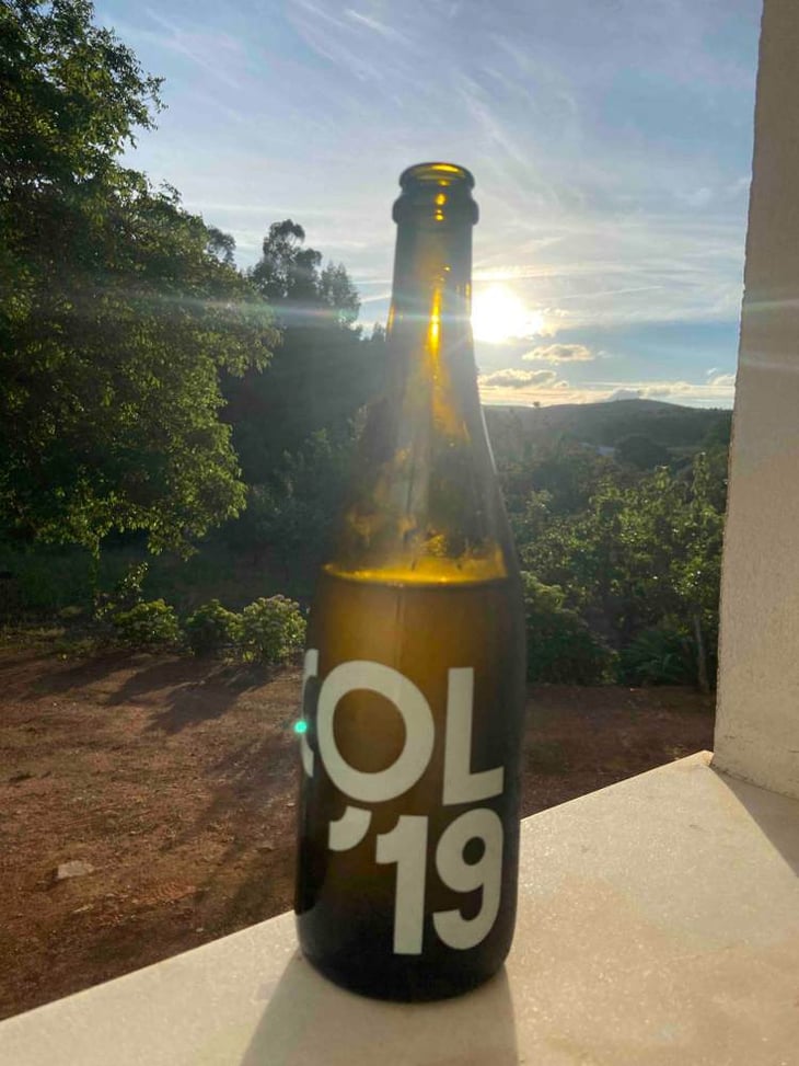 COL - Tillingham Wines - ben-walgate -2019