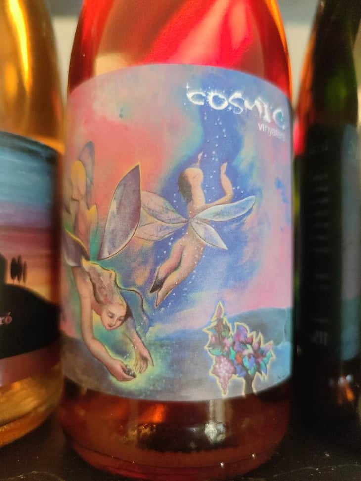 Les Fades Del Granit - Còsmic Vinyaters - salvador-batlle-barrabeig -2022