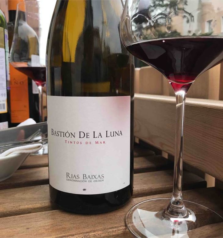 Bastion De La Luna - Bodegas y Viñedos Rodrigo Méndez/Bodegas Forjas del Salné - rodrigo-mendez 