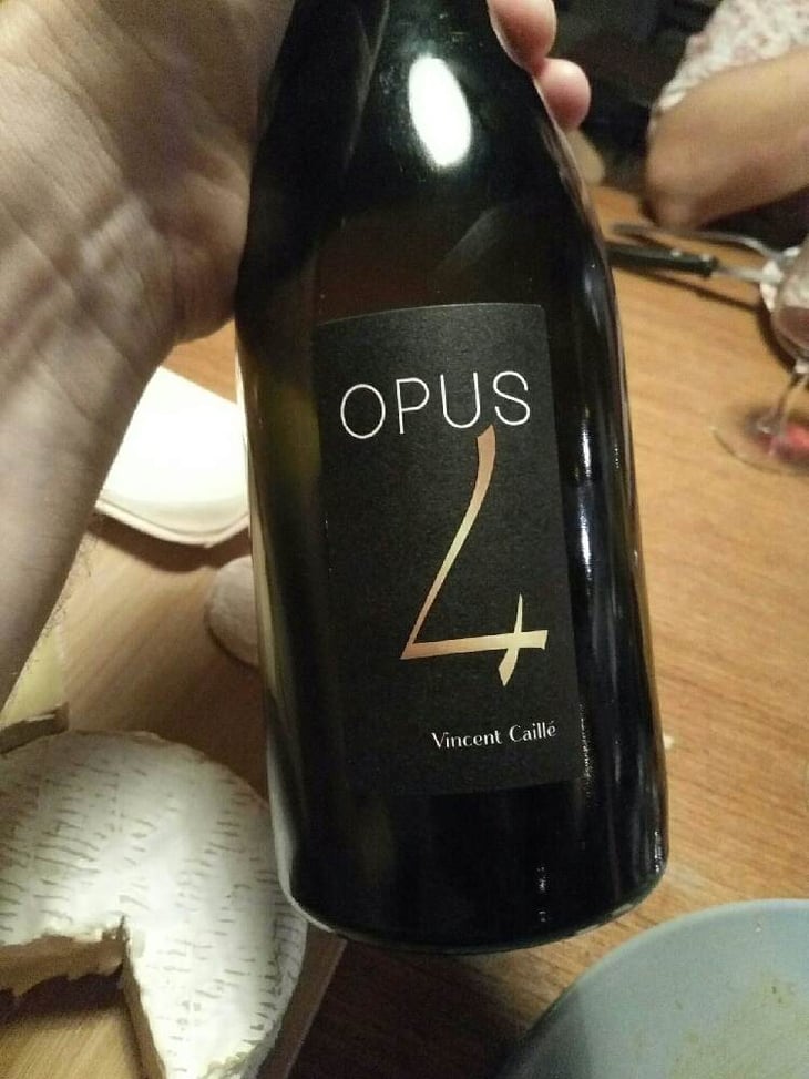 Opus 4 - Le Fay d'Homme - vincent-caille 