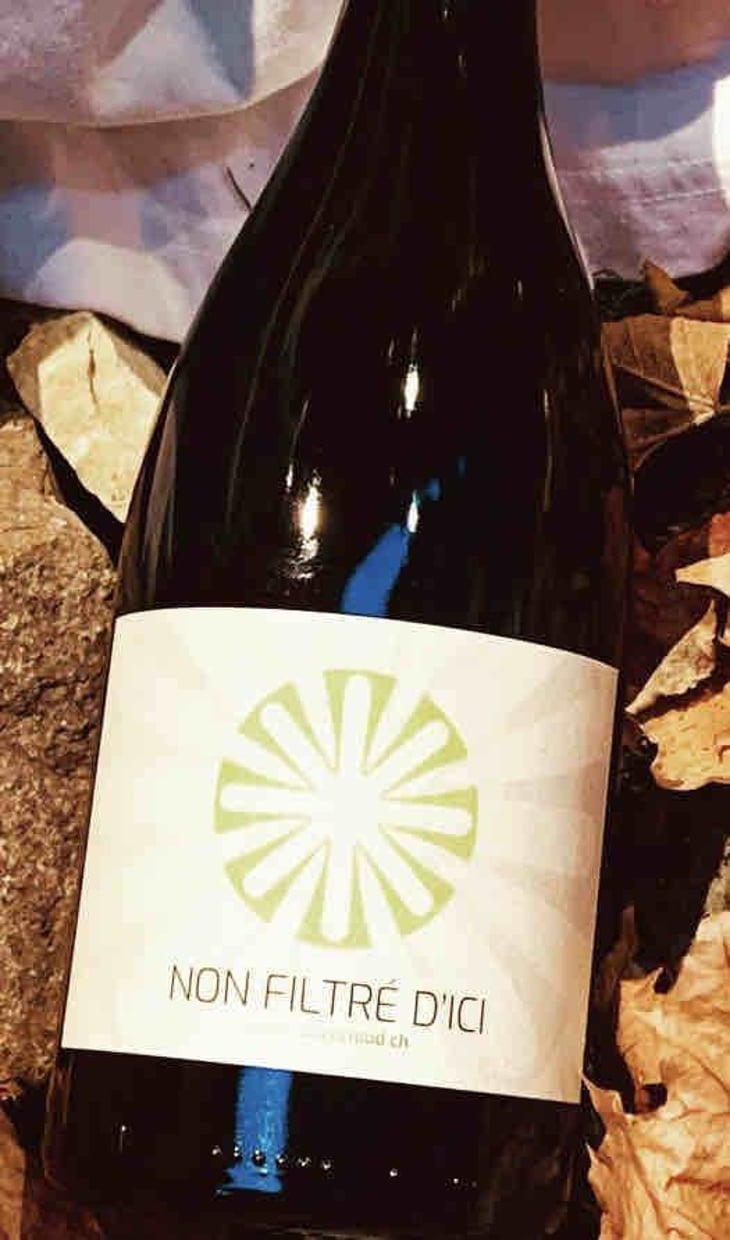 Non Filtré D’Ici - Domaine Henrioud - jean-michel-henrioud -2022