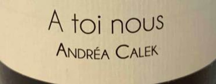 A Toi Nous - Andrea Calek - andrea-calek-et-stephana-nicolescu 