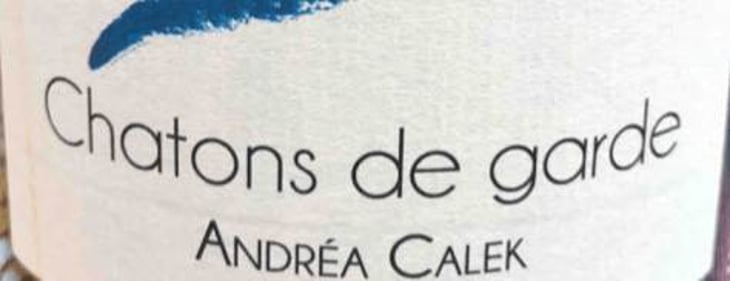 Chatons de Garde - Andrea Calek - andrea-calek-et-stephana-nicolescu 