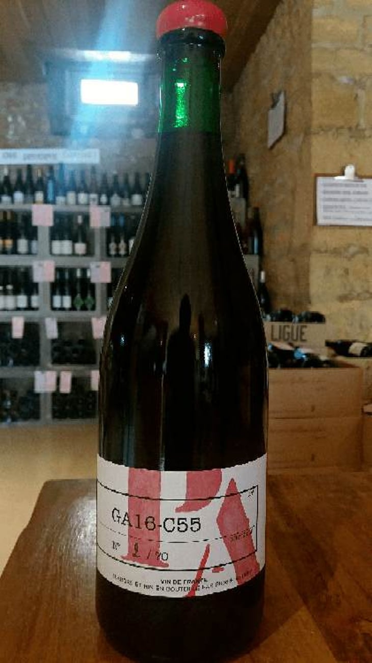 GA16-C55 - Domaine Pierre Andrey - NO VISIT - pierre-andrey-florence-bouleaux-no-visit 