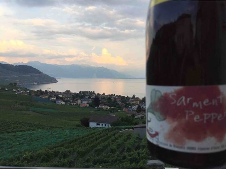 Sarment Pepper - Francine & François Dhumes - francine-francois-dhumes 