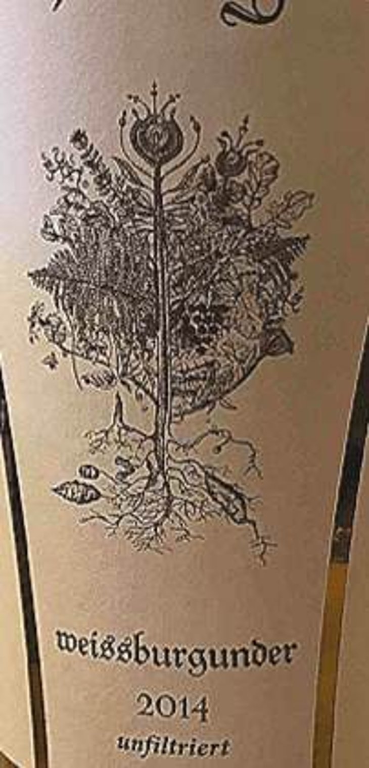 Weissburgunder - Brand Bros - Weingut Brand - daniel-jonas-brand 