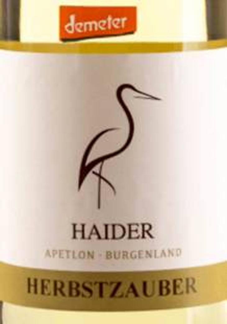 Herbstzauber - Biodyn Weinhof Haider - berthold-eva-haider 