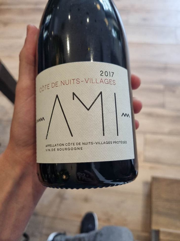 Côte De Nuits Villages - Domaine Ami - paul-marchand-perarnau-willy-roulendes 