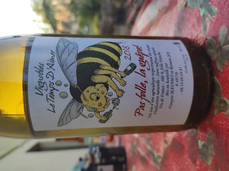 Pas Folle La Guêpe - Le Temps d'Aimer - francois-maudet-et-romain-jos 