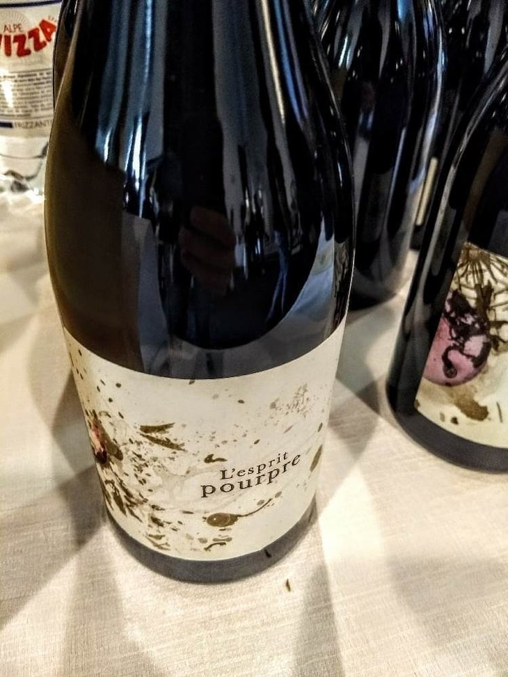 L'Esprit Pourpre - Les Petits Riens - fabien-bonnet-stefania-galimberti 