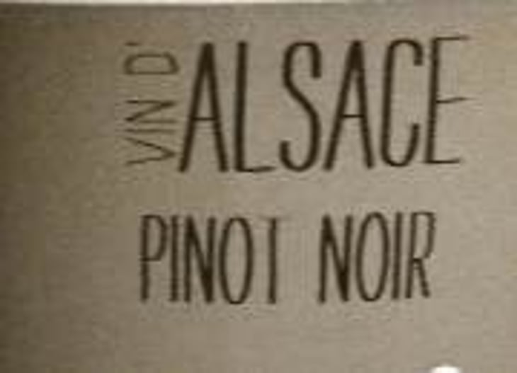 Pinot Noir - Vincent Fleith - brigitte-et-vincent-fleith 