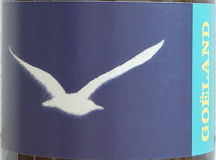 Goéland - Valentin Valles - valentin-valles 