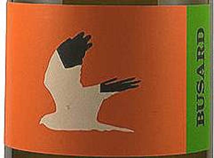 Busard - Valentin Valles - valentin-valles 