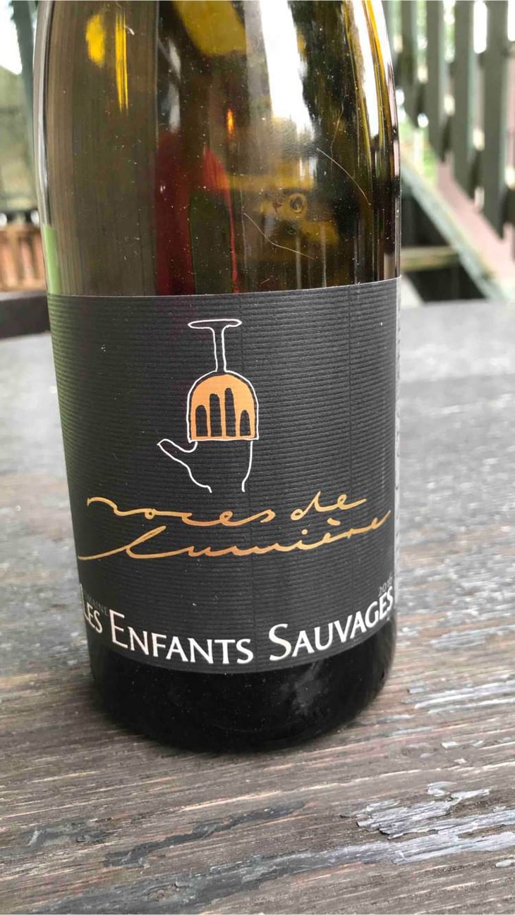 Noces De Lumières - Les Enfants Sauvages - nikolaus-caroline-bantlin 