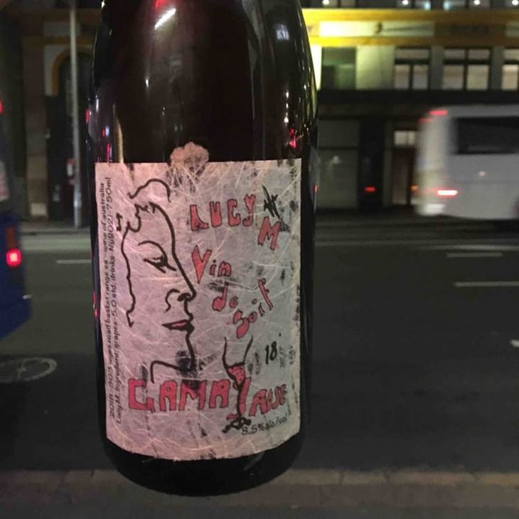 Vin De Soif Gamay Rosé - Lucy Margaux Vineyards - anton-van-klopper 