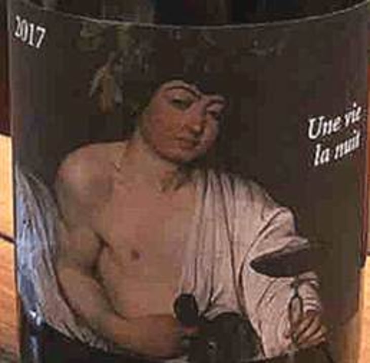 Une Vie La Nuit - Clos du Rouge Gorge - cyril-fhal 