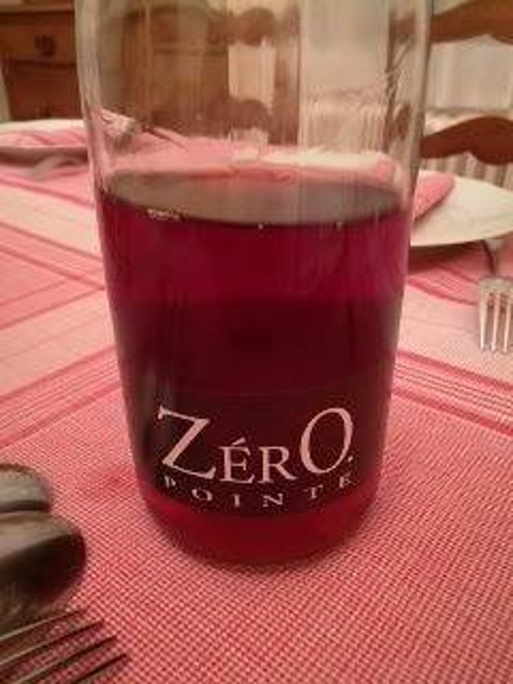 Zero Pointé - Château La Tour Grise/Gourdon Vignerons - philippe-francoise-gourdon-retired 