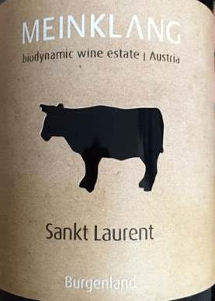 Sankt Laurent - Meinklang - Weingut Michlits - angela-werner-michlits 