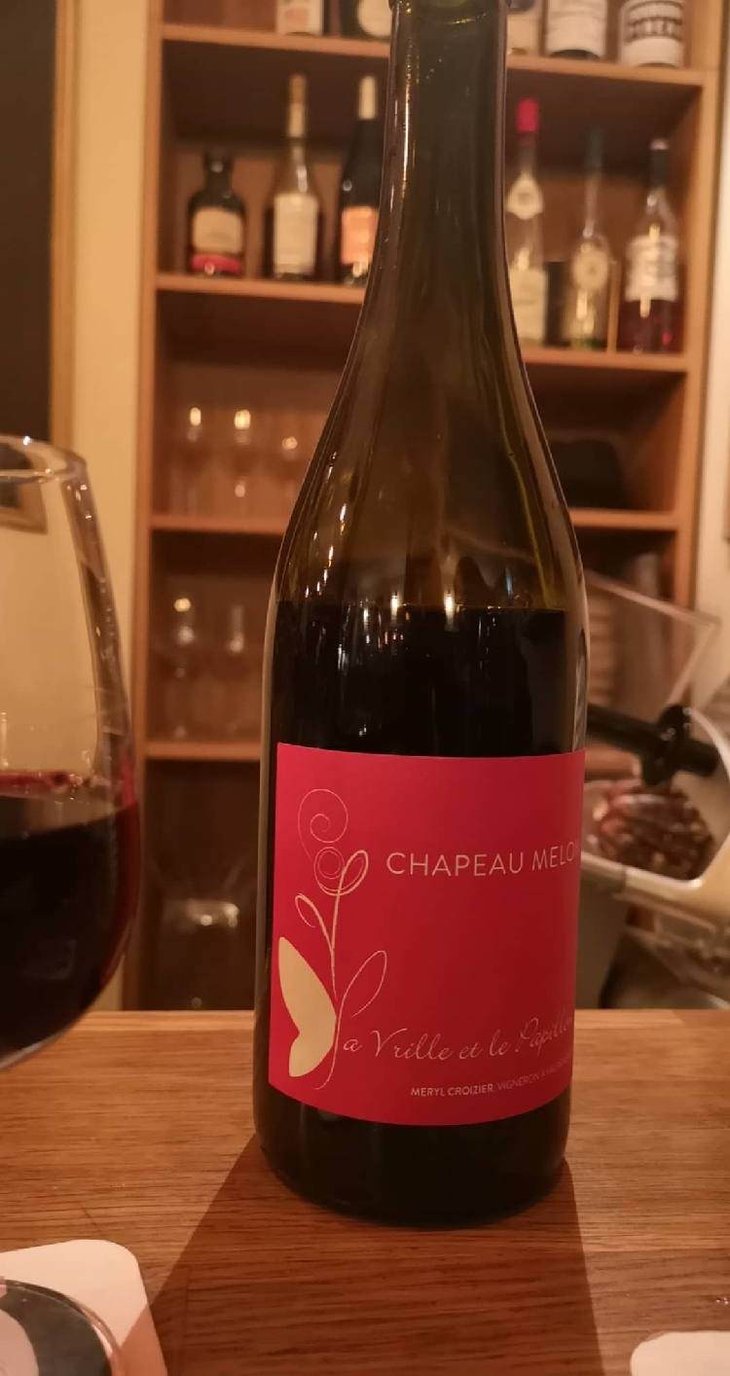 Chapeau Melon - La Vrille et le Papillon - geraldine-meryl-croizier 